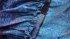 Gonna lunga in seta blue