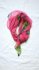 Foulard in seta rosa