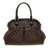 Louis Vuitton Damier Ebene Canvas Trevi