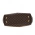 Louis Vuitton Damier Ebene Canvas Trevi