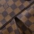 Louis Vuitton Damier Ebene Canvas Trevi