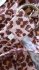 Abito in lino leopardato