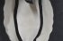 Cappello con tese monogram