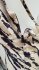 Top animalier con paillettes