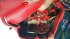 Borsa Miss Sicily rossa
