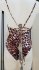 Costume intero leopardato