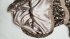 Abito in paillettes beige