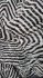 Gonna motivo zebra
