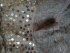 Minigonna nera in seta con paillettes