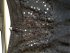 Minigonna nera in seta con paillettes